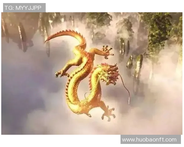 可兰白克的传奇人生与不屈精神探秘之旅